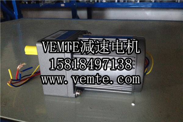 小電機，小型調速電機,微型減速電機 (2)